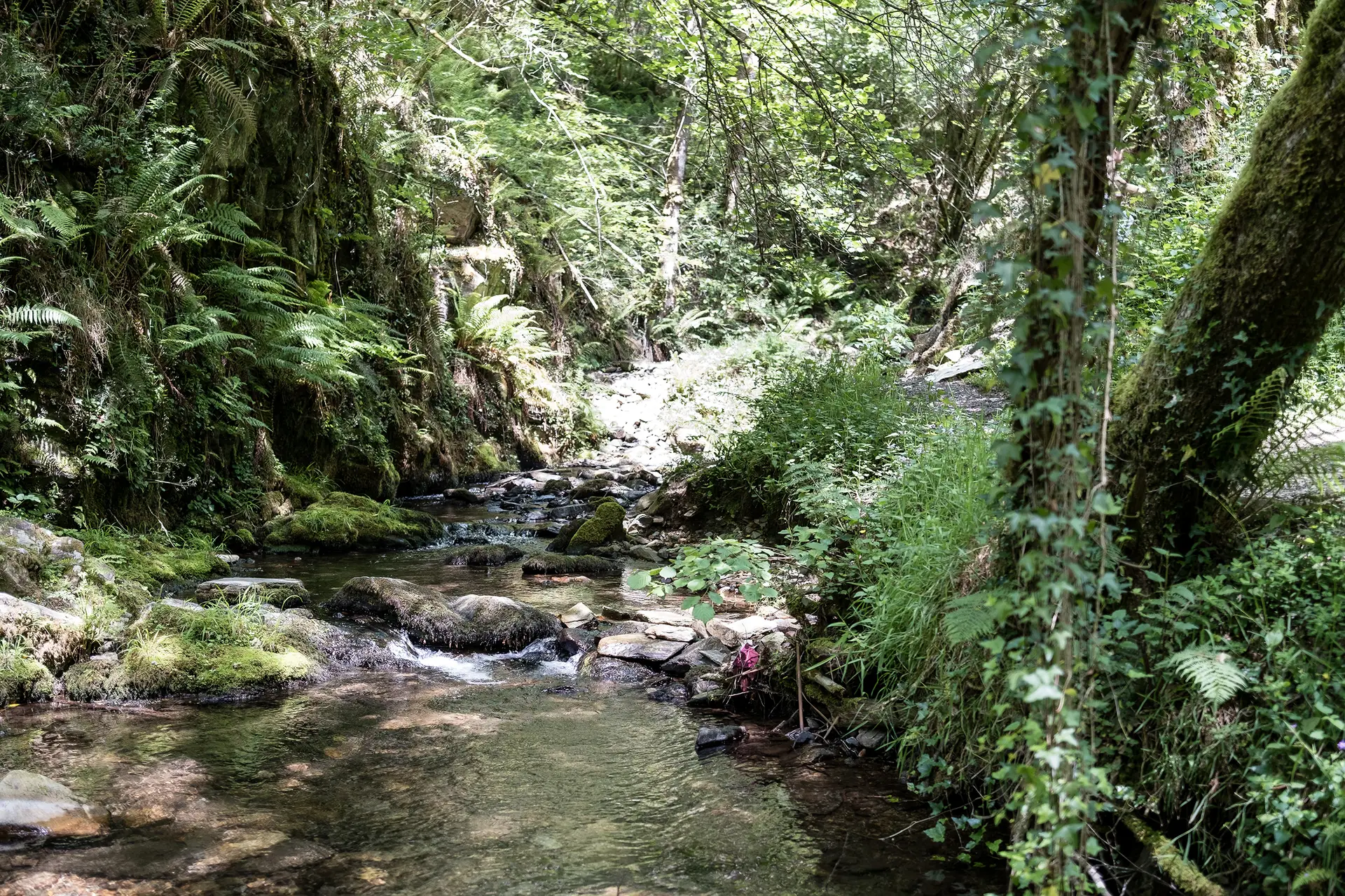 Caminamos al lado de río en la Ruta Cascada del Gorgollón de Turitaxi Cuideiru