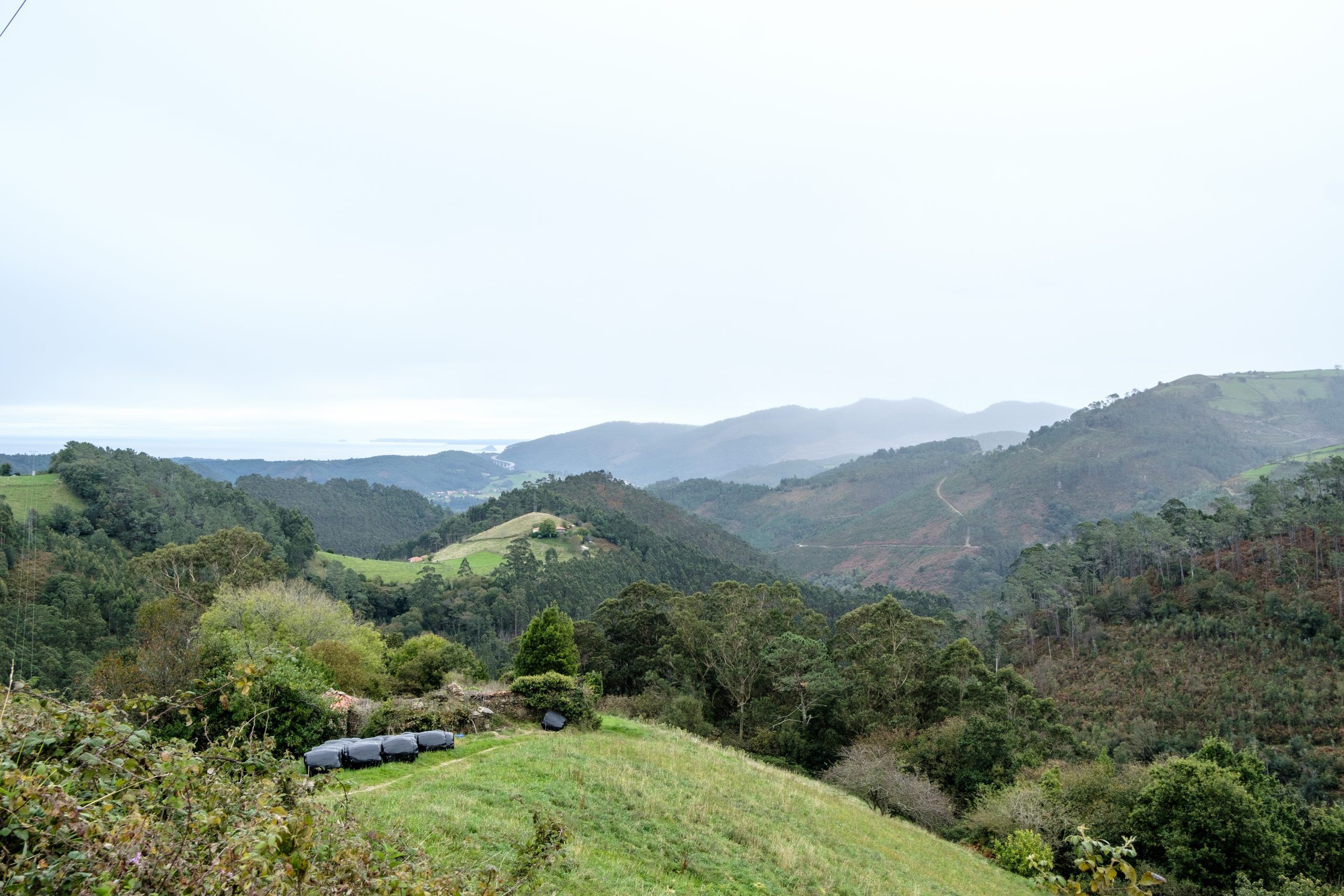 Desde lo alto en la ruta Foces del Esqueiru de Turitaxi Cuideiru