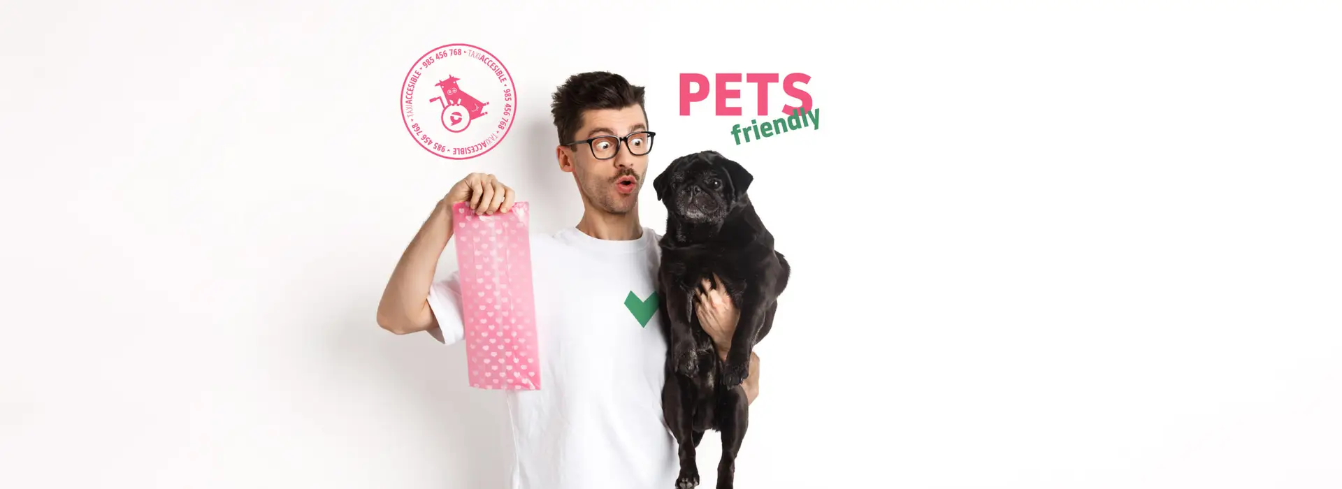 Turitaxi Cuideiru es pet friendly, viaja con tu mascota por Asturias