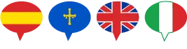 Servicio prestado de taxi en español, asturiano, inglés e italiano